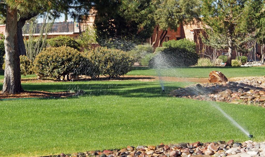 Services Irrigation