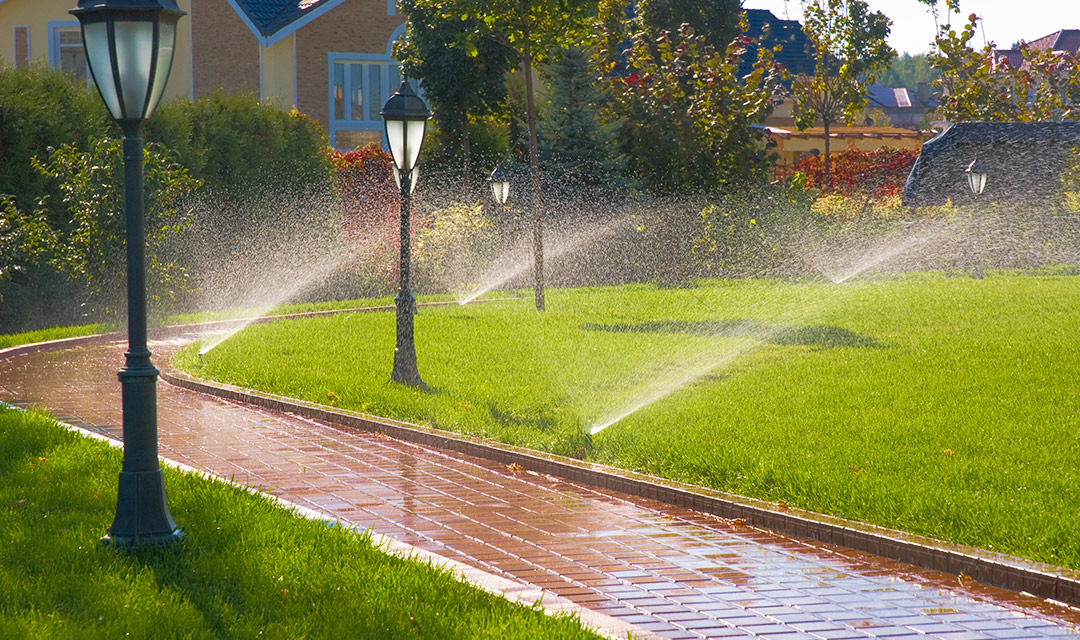 Services Irrigation