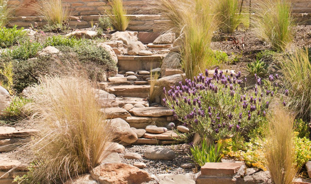 Services: Xeriscaping